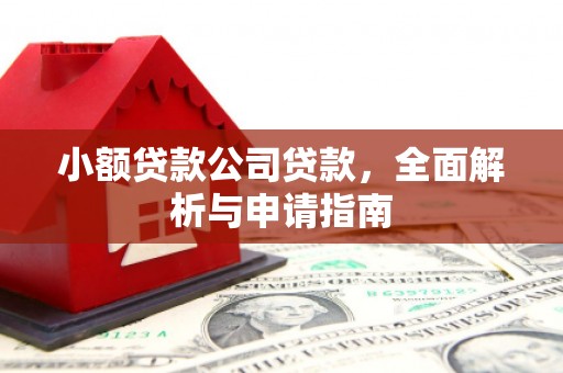 新源小额贷款公司贷款，全面解析与申请指南