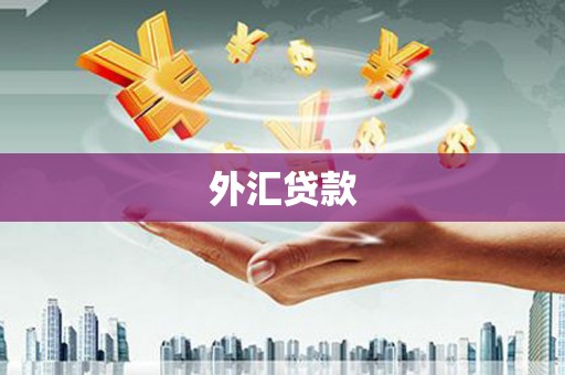新源外汇贷款