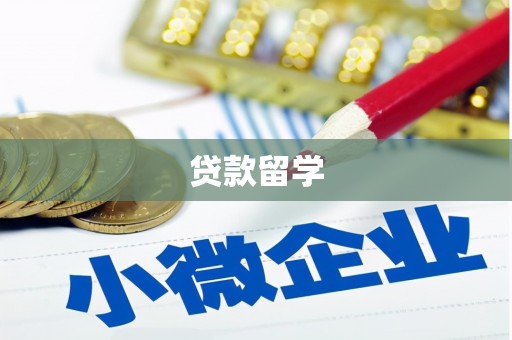 新源贷款留学