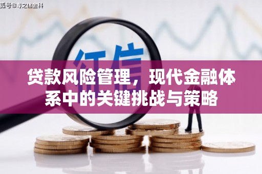 新源贷款风险管理，现代金融体系中的关键挑战与策略