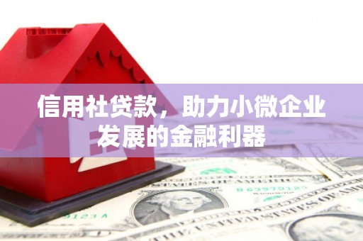 新源信用社贷款，助力小微企业发展的金融利器