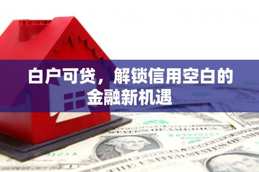 新源白户可贷，解锁信用空白的金融新机遇