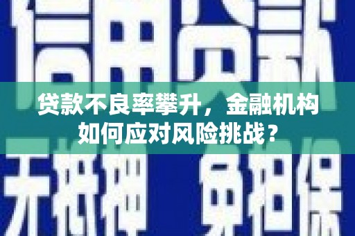 新源贷款不良率攀升，金融机构如何应对风险挑战？