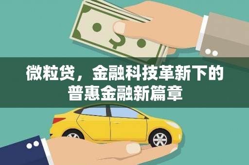 新源微粒贷，金融科技革新下的普惠金融新篇章