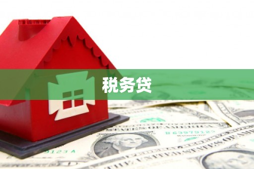 新源税务贷