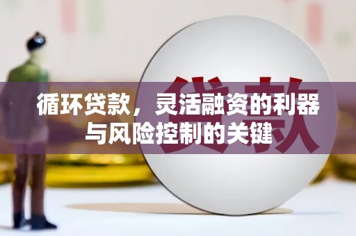新源循环贷款，灵活融资的利器与风险控制的关键