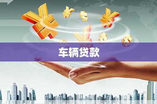 新源车辆贷款