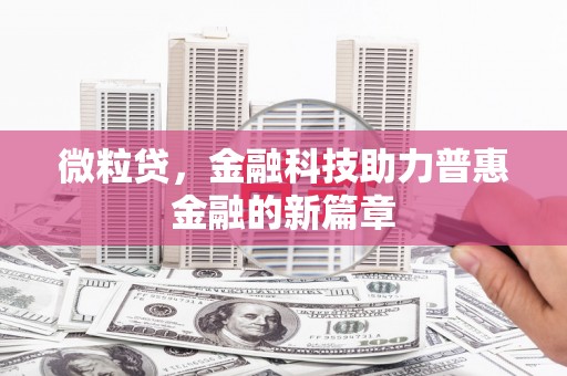 新源微粒贷，金融科技助力普惠金融的新篇章