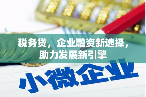 新源税务贷，企业融资新选择，助力发展新引擎