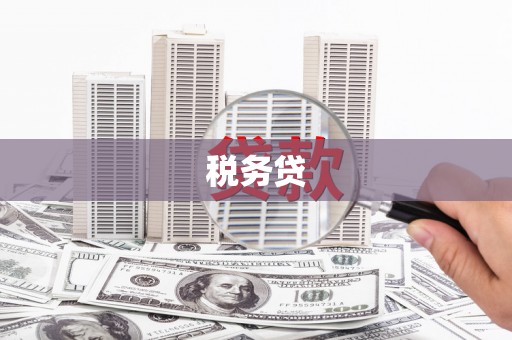 新源税务贷