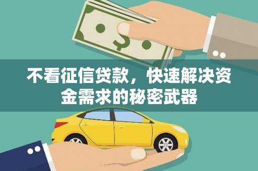 新源不看征信贷款，快速解决资金需求的秘密武器