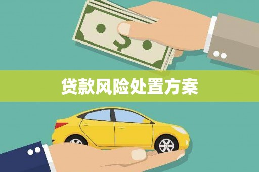 新源贷款风险处置方案