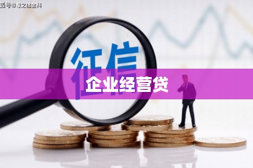 新源企业经营贷
