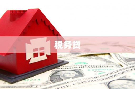 新源税务贷
