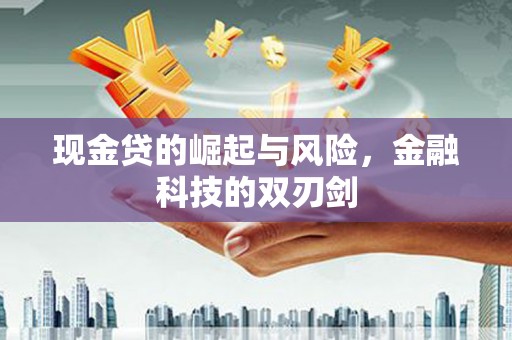 新源现金贷的崛起与风险，金融科技的双刃剑