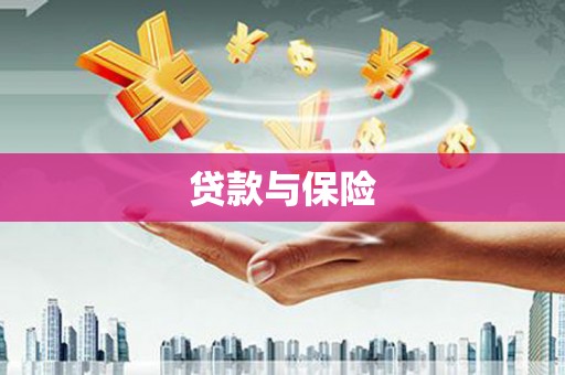 新源贷款与保险