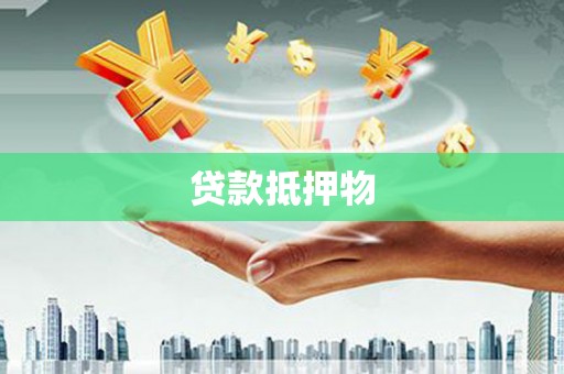 新源贷款抵押物
