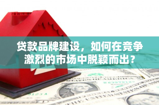 新源贷款品牌建设，如何在竞争激烈的市场中脱颖而出？