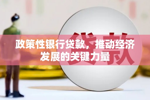 新源政策性银行贷款，推动经济发展的关键力量