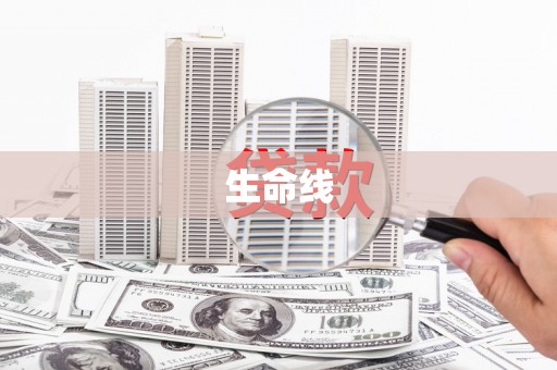 新源生命线