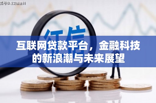 新源互联网贷款平台，金融科技的新浪潮与未来展望