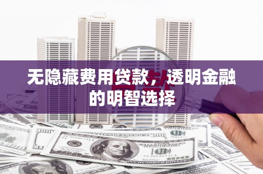 新源无隐藏费用贷款，透明金融的明智选择