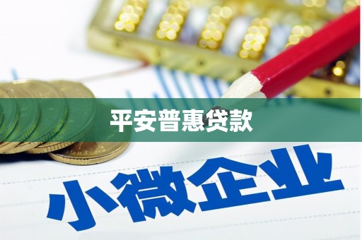 新源平安普惠贷款