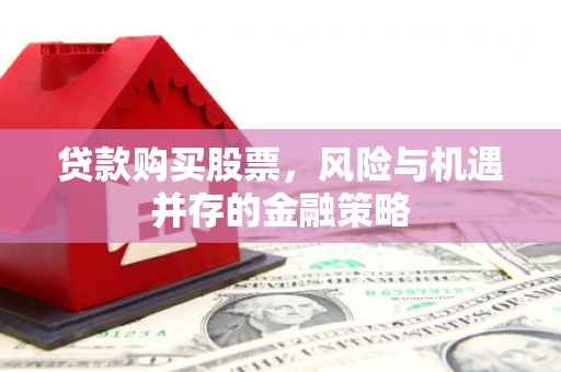 新源贷款购买股票，风险与机遇并存的金融策略