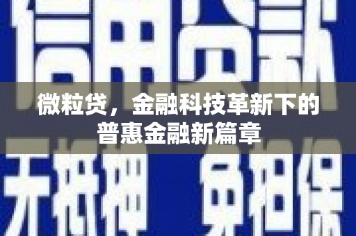 新源微粒贷，金融科技革新下的普惠金融新篇章