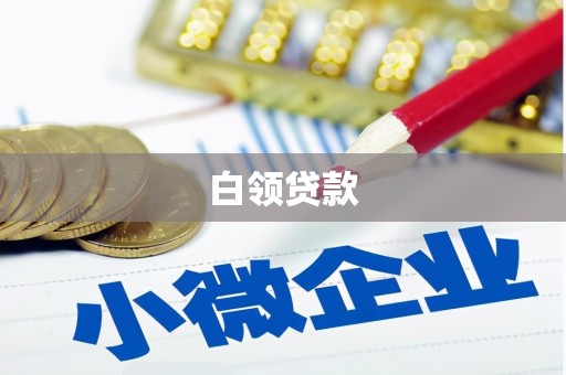 新源白领贷款