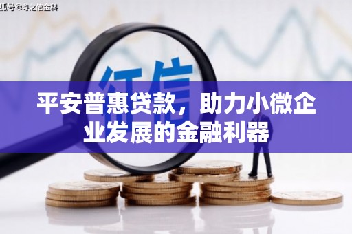 新源平安普惠贷款，助力小微企业发展的金融利器