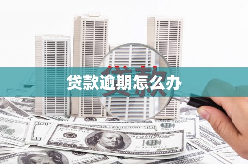新源贷款逾期怎么办