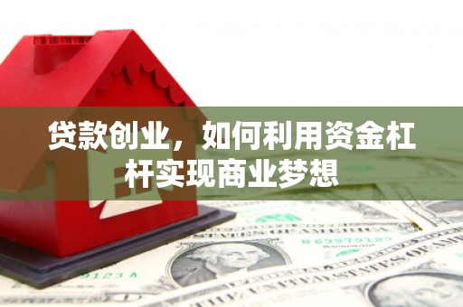 新源贷款创业，如何利用资金杠杆实现商业梦想