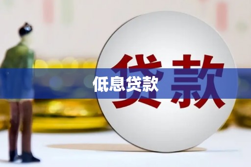 新源低息贷款