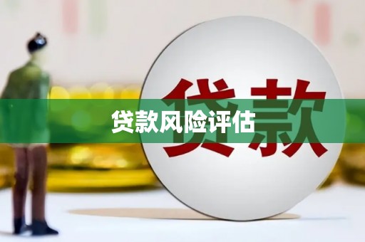 新源贷款风险评估