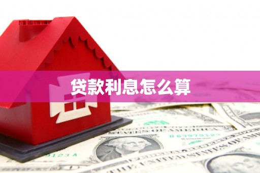新源贷款利息怎么算