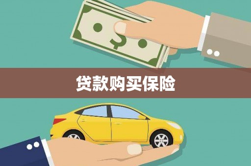 新源贷款购买保险