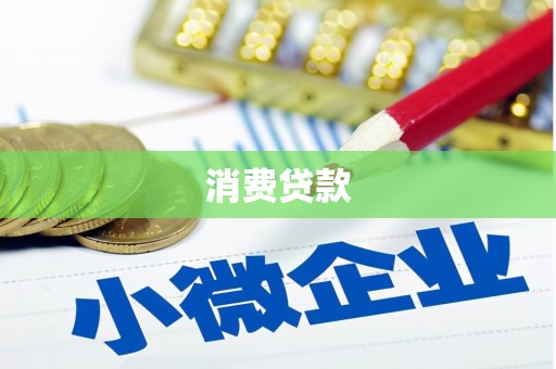 新源消费贷款