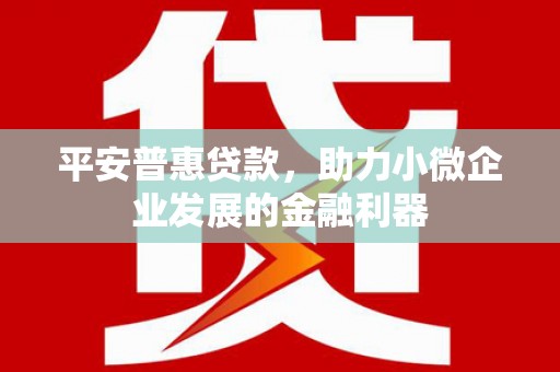 新源平安普惠贷款，助力小微企业发展的金融利器