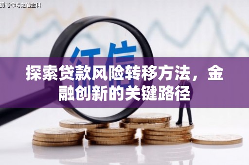 新源探索贷款风险转移方法，金融创新的关键路径