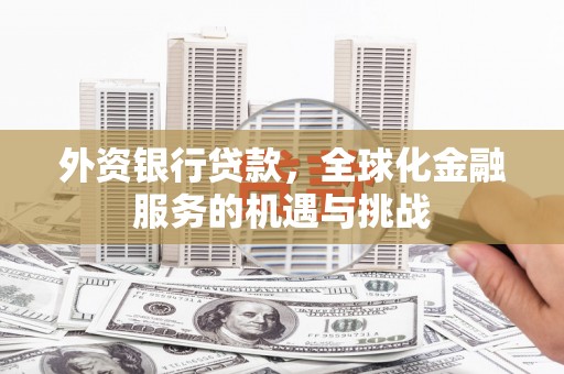 新源外资银行贷款，全球化金融服务的机遇与挑战