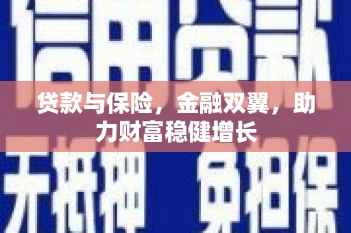 新源贷款与保险，金融双翼，助力财富稳健增长