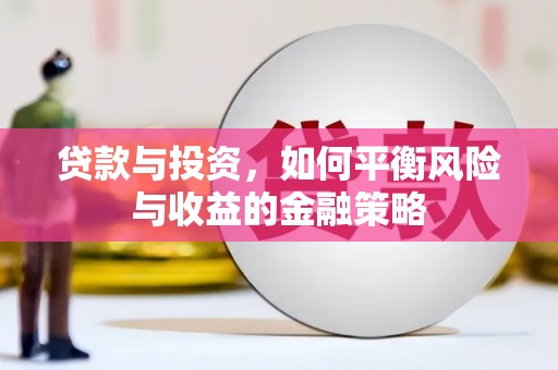 新源贷款与投资，如何平衡风险与收益的金融策略