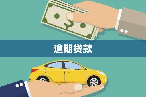 新源逾期贷款